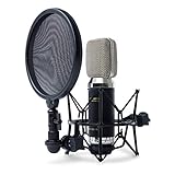 Marantz Professional MPM3500R - Micrófono de cinta con diafragma de masa ultra-baja, filtro...
